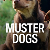 Muster Dogs