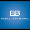 The Bold and The Beautiful