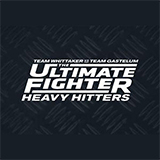 The Ultimate Fighter: Heavy Hitters