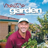 Vasili's Garden