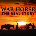Warhorse: The Real Story